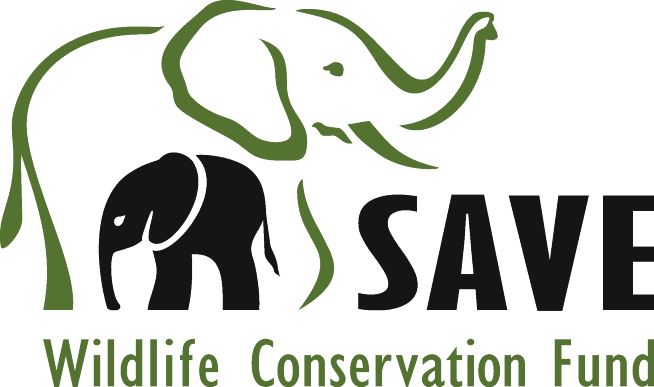 Wildlife text. Wildlife Conservation. Wild Life логотип компания. Фонд World Wildlife эмблема. Animal логотип.
