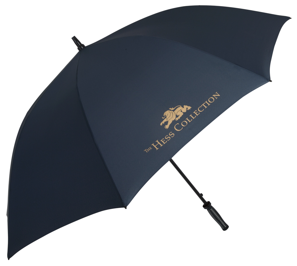 Гитара зонтик. Зонт Элеганза. Брендированные зонты. Зонт с логотипом. Логотип зонтик.